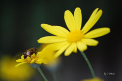 021_その先を目指して