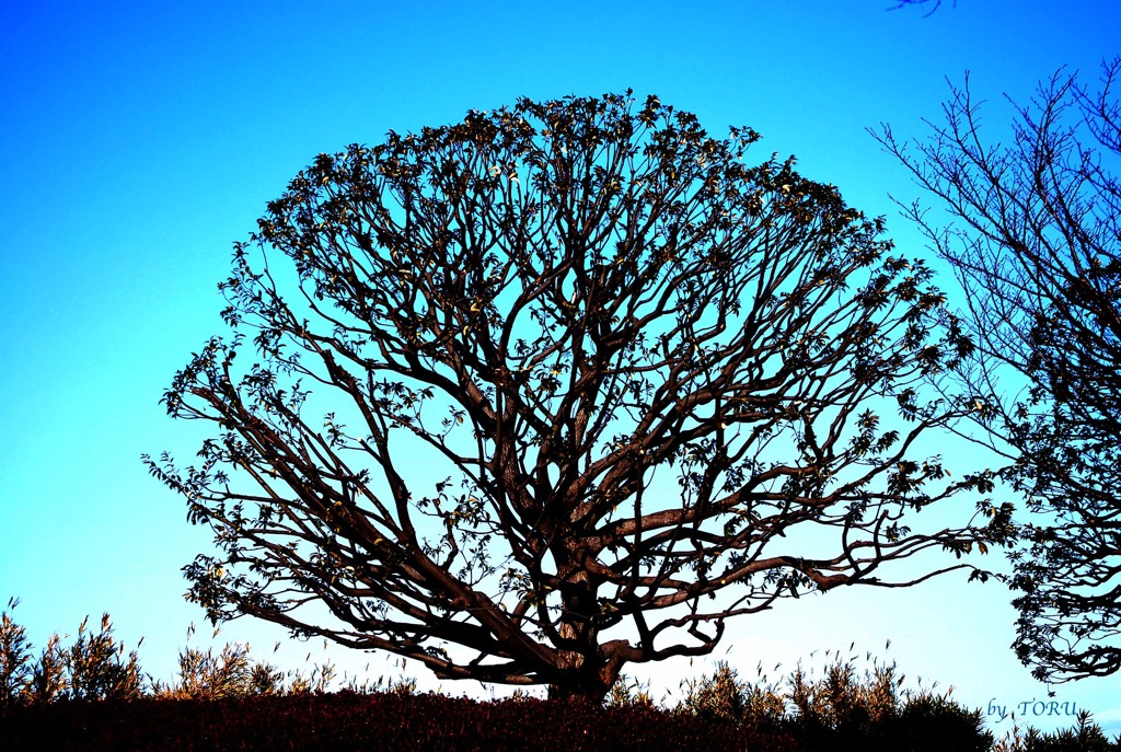 118＿日暮れ時に