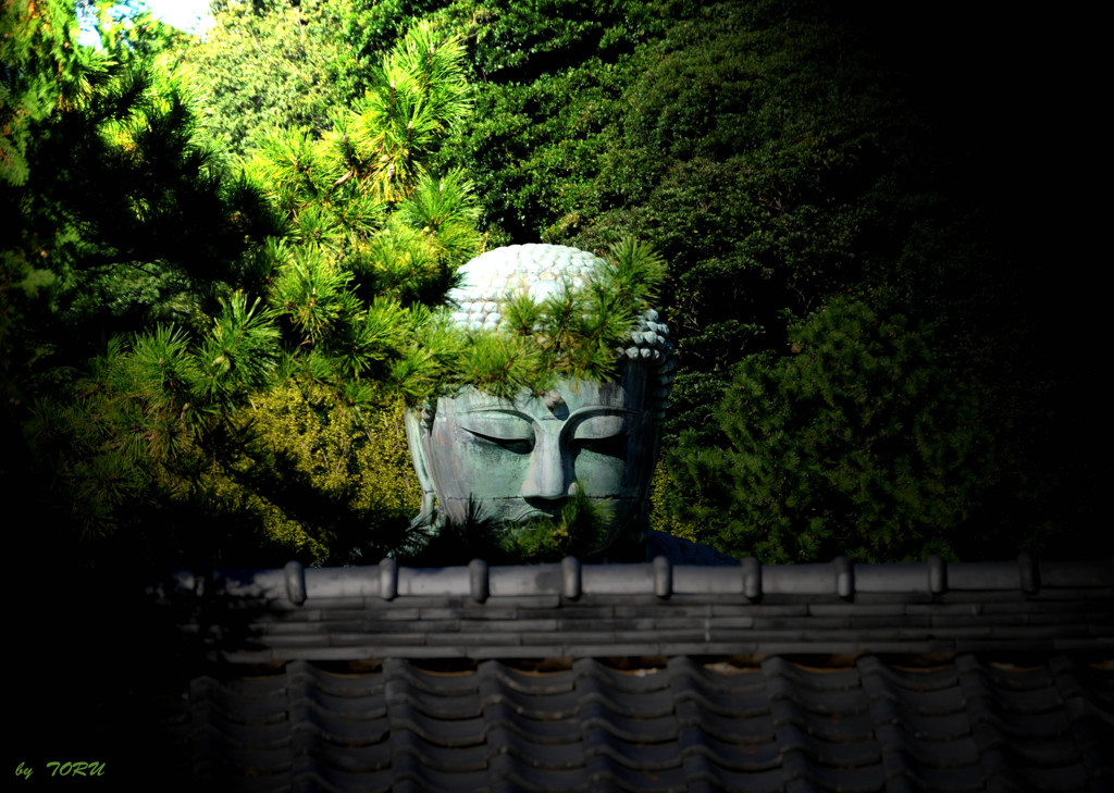 622_忍