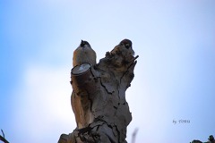 089＿幸せの法則（２）