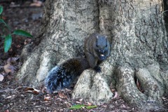 078_僕のトモダチ