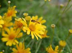 001＿幸せ運んで