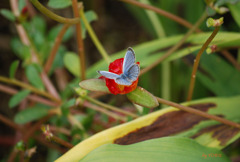 024_ひとつになって