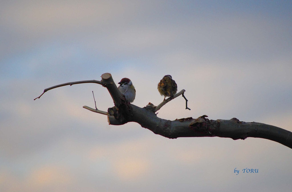 088＿幸せの法則（１）