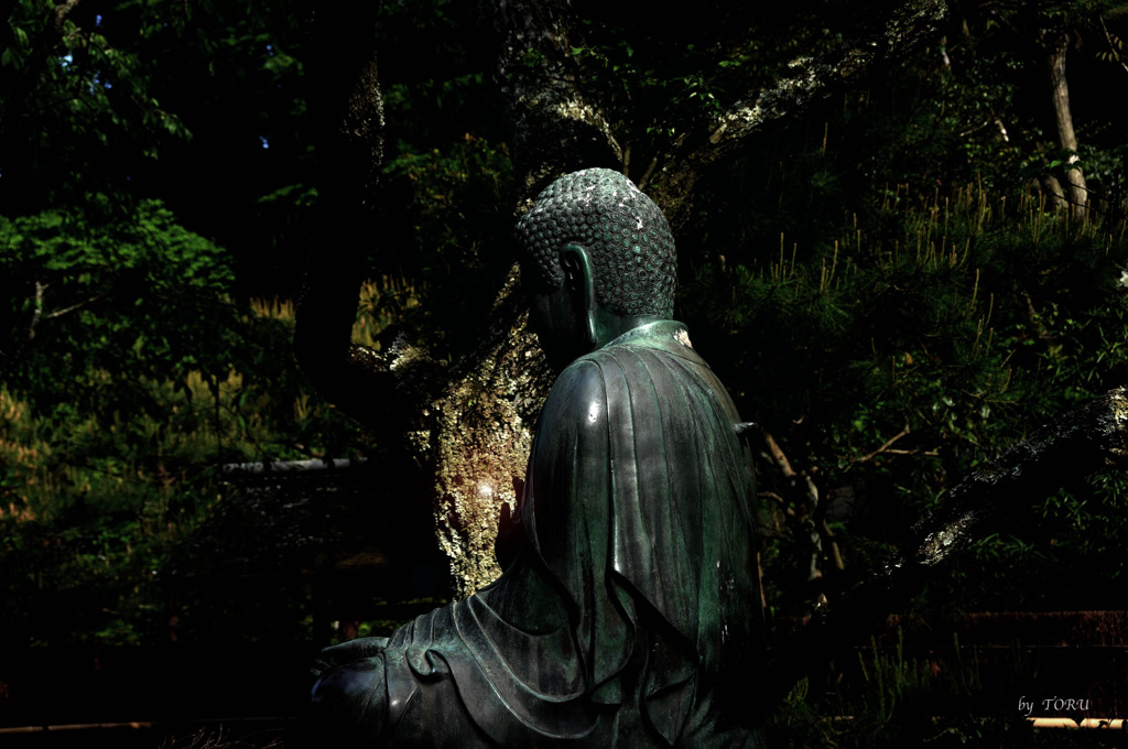 349_仏陀