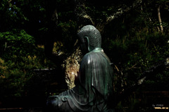 349_仏陀