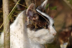 125＿横浜科学館の主