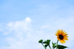 217＿夏の終わり