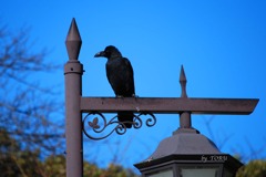 071＿言葉なんて