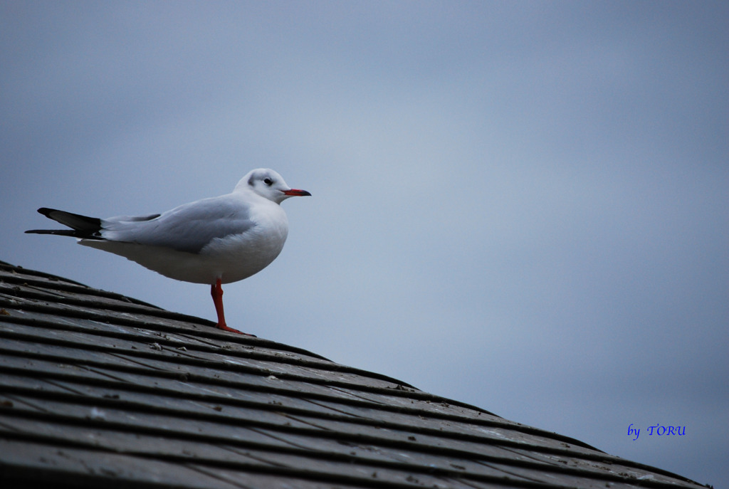 044_先に見えるもの