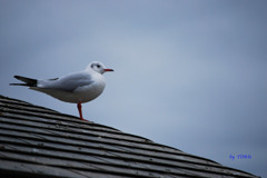 044_先に見えるもの