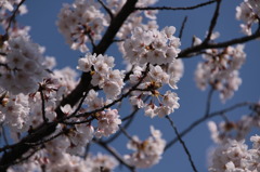 2010.04.29 2