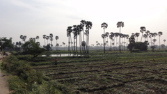 DSC00379 (1)