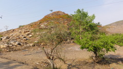 DSC00654