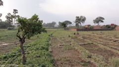 DSC00393