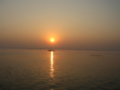 IMG_0949_1