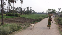 DSC00386