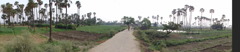 DSC00387