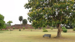 DSC00500