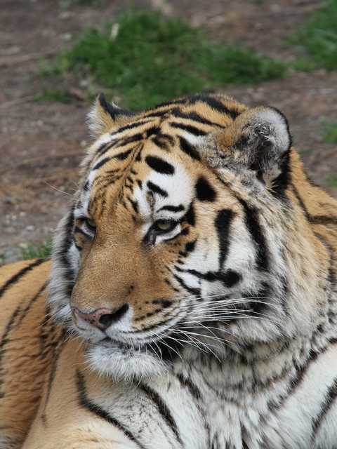 2012.02.09天王寺動物園