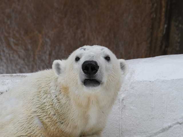 2012.02.10天王寺動物園