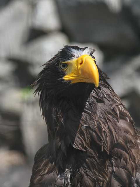 2012.5.18円山動物園