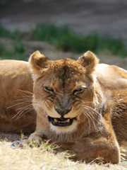 2012.02.09天王寺動物園