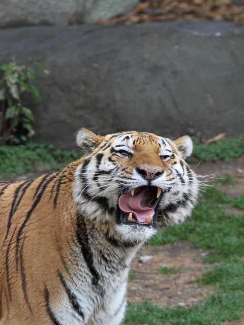 2012.02.09天王寺動物園