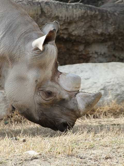 2012.02.10天王寺動物園