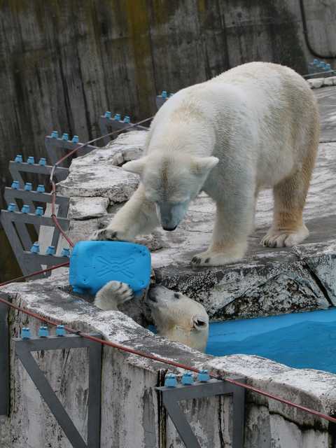 札幌円山動物園2011.10.30