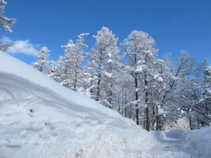 妙高山麓赤倉スキー場