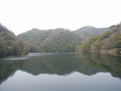 春の布引貯水池