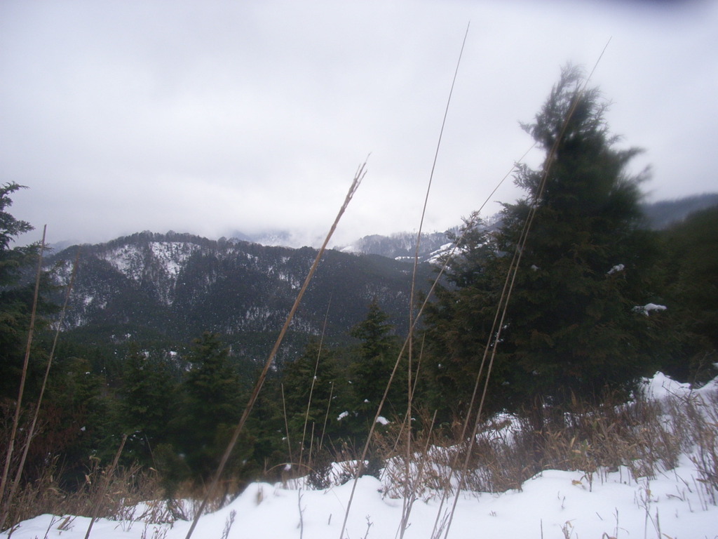 藤無山