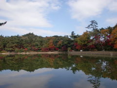 再度公園・修法ヶ原池です