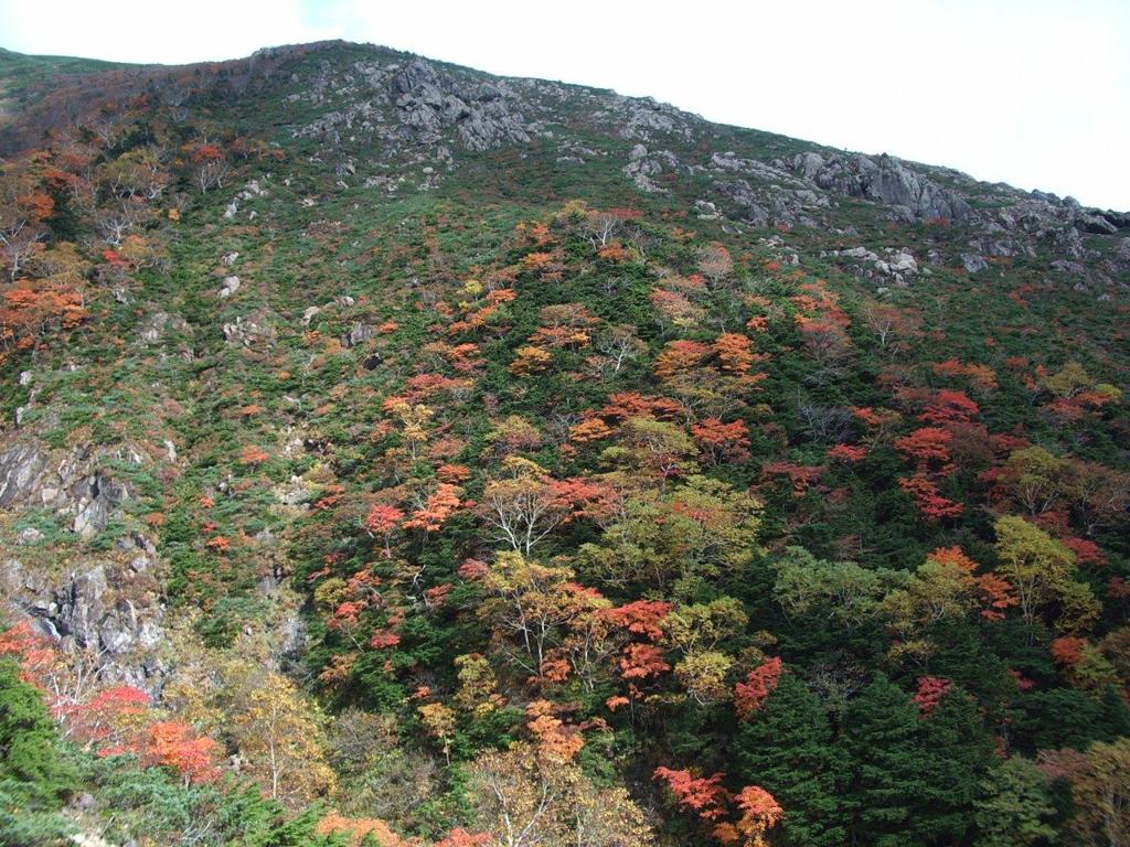 秋田・早池峰山の紅葉