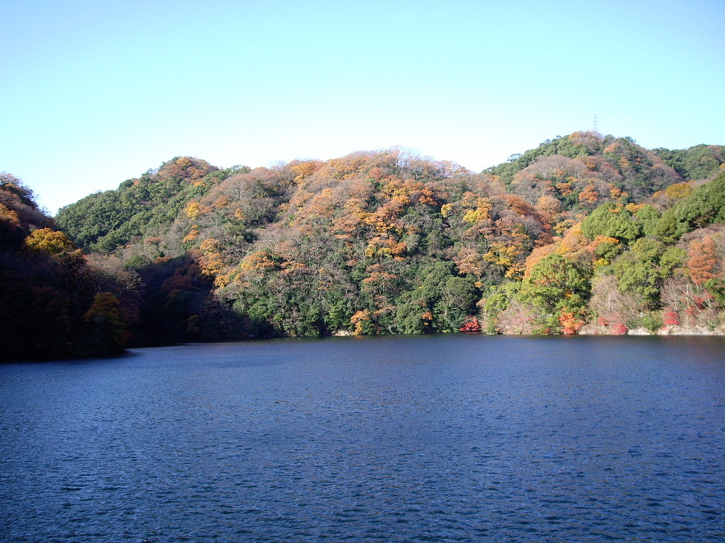 秋の五本松堰堤（布引ダム）