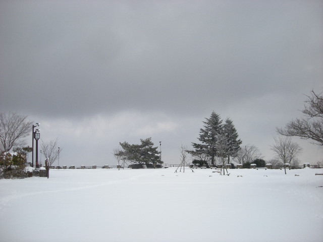 六甲・雪の摩耶山