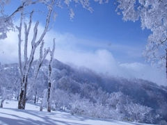 氷ノ山でバックカントリー