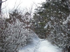 六甲・雪の天狗道