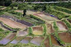 稲倉棚田(長野県上田市）