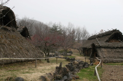 科野の村