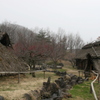 科野の村