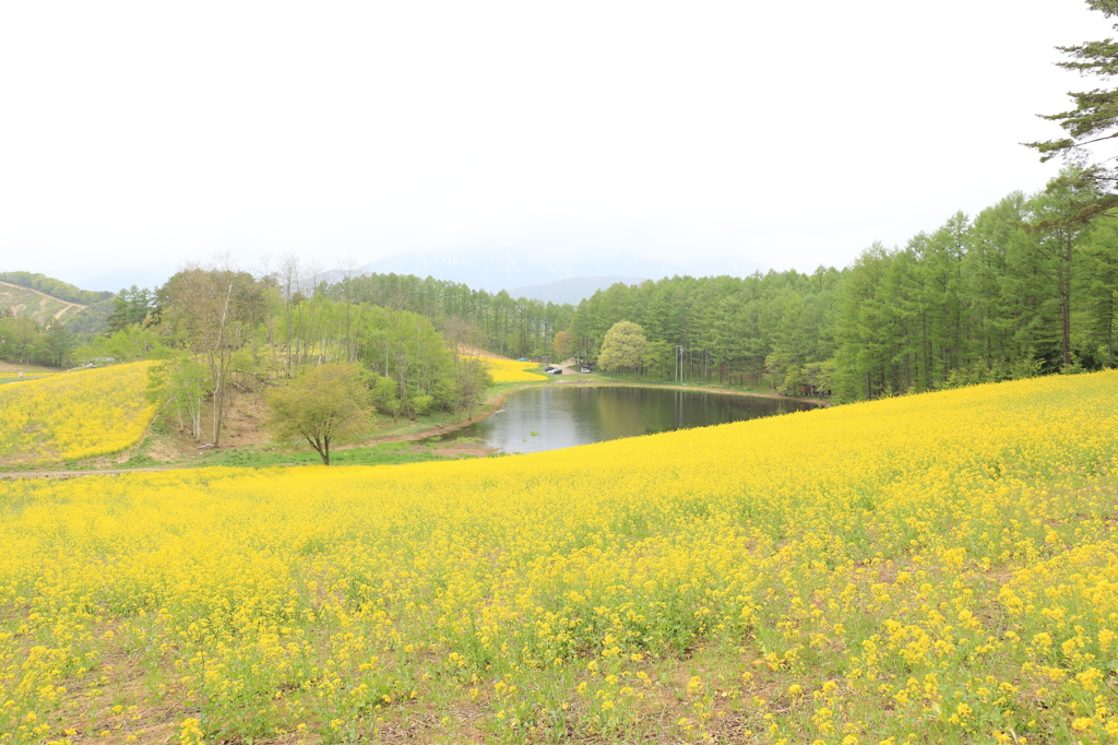 おひさまロケ地　中山高原（大町市）