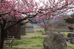 古代の村の春