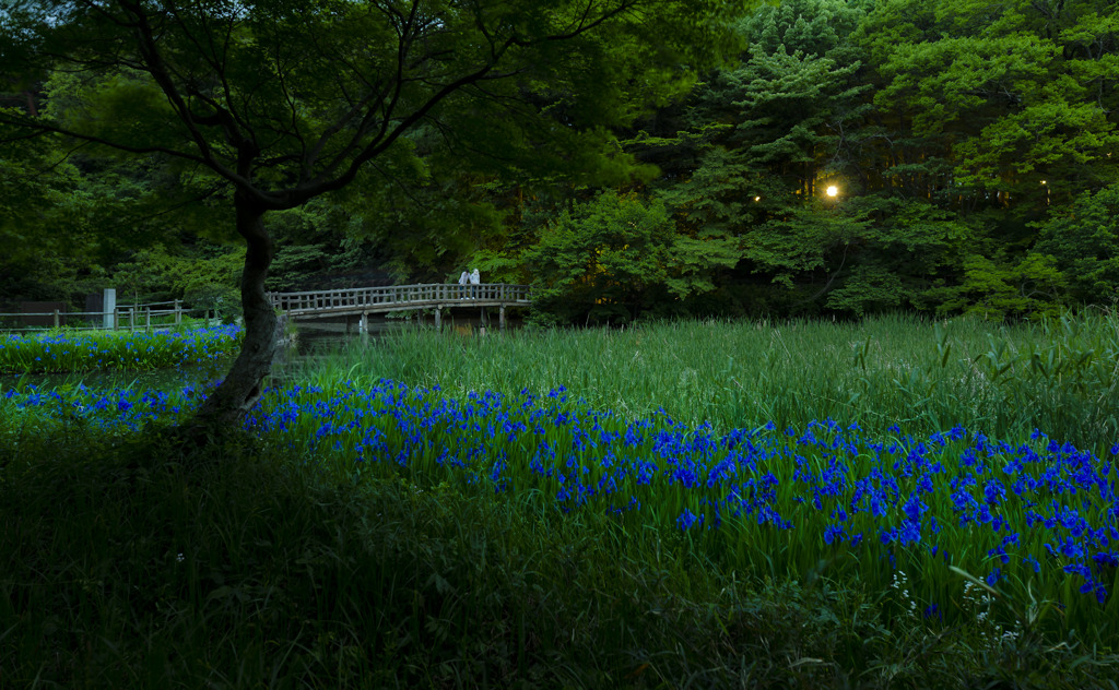 夜を待つ静寂