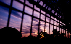 柵の向こうの夕焼け