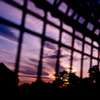 柵の向こうの夕焼け