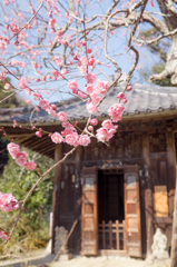 瑞泉寺にて