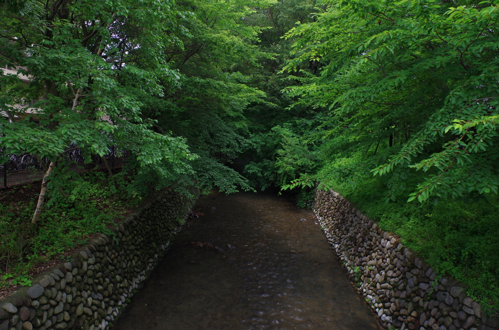 玉川上水