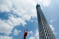 にょきーっ。
